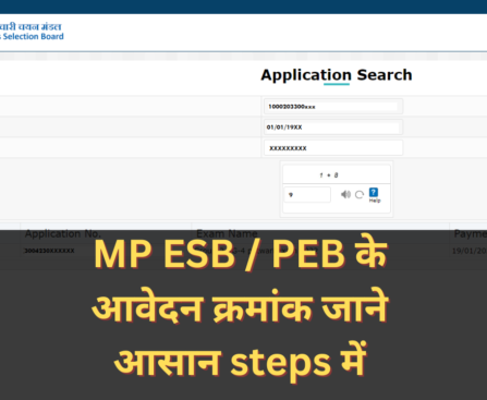 How to find VYAPAM PEB ESB application number